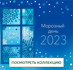 Морозный день 2023