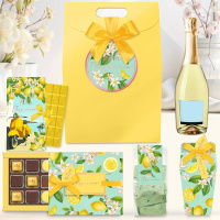 Набор: шоколад, мармелад, сухофрукты в шоколаде, мармелад-суфле в шоколаде