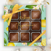 Шоколадные конфеты «Ассорти» с шоколадной начинкой 95г