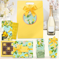 Набор: шоколад, мармелад, сухофрукты в шоколаде, мармелад-суфле в шоколаде