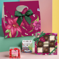 Сумочка: шоколад, драже, конфеты ассорти, чай 195г