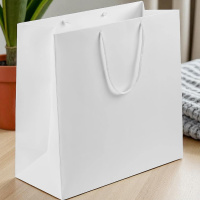 Пакет белый 20х25х10 см Пакет белый 20х25х10 см