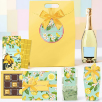 Набор: шоколад, мармелад, сухофрукты в шоколаде, мармелад-суфле в шоколаде