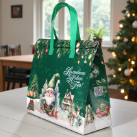 Термопакет зеленый "С Новым годом" 35х30х13 см застежка липучка