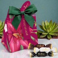 Сухофрукты в горьком шоколаде (финик, слива, абрикос) 100г