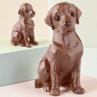 Лабрадор из молочного шоколада