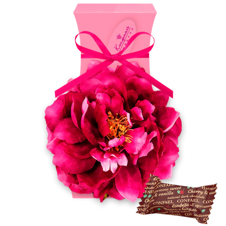 Набор конфет вишневый мармелад-ванильное суфле в шоколаде