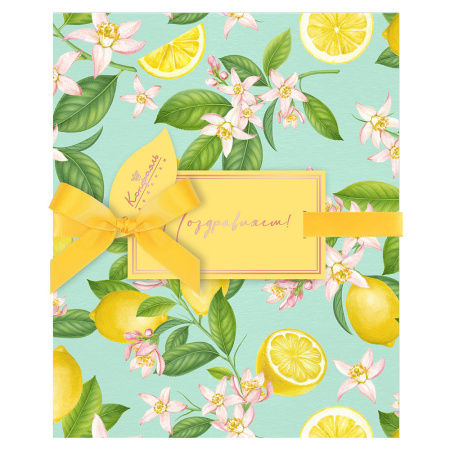 Набор: шоколад, драже, мармелад, конфеты ассорти, варенье, чай 500г