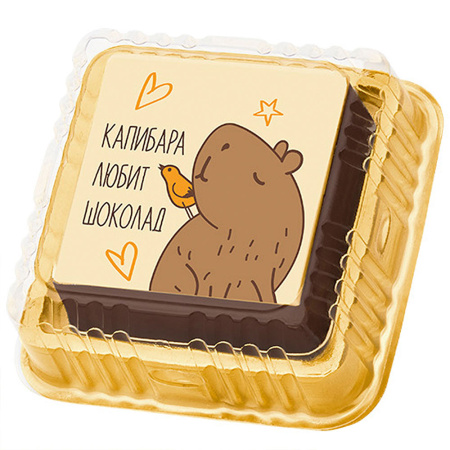 "Капибара с птичкой" суфле шоколадное  20г