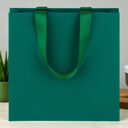 Пакет зеленый 25х25х7 см