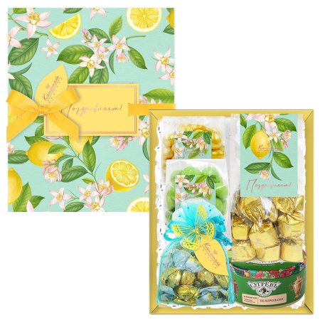 Набор: шоколад, драже, мармелад, конфеты ассорти, варенье, чай 500г