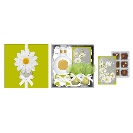 Набор конфет ассорти, шоколада