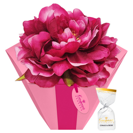 Набор конфет: клубничное суфле и ванильное безе в горьком шоколаде