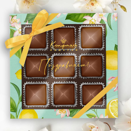 Шоколадные конфеты «Ассорти» с шоколадной начинкой 95г